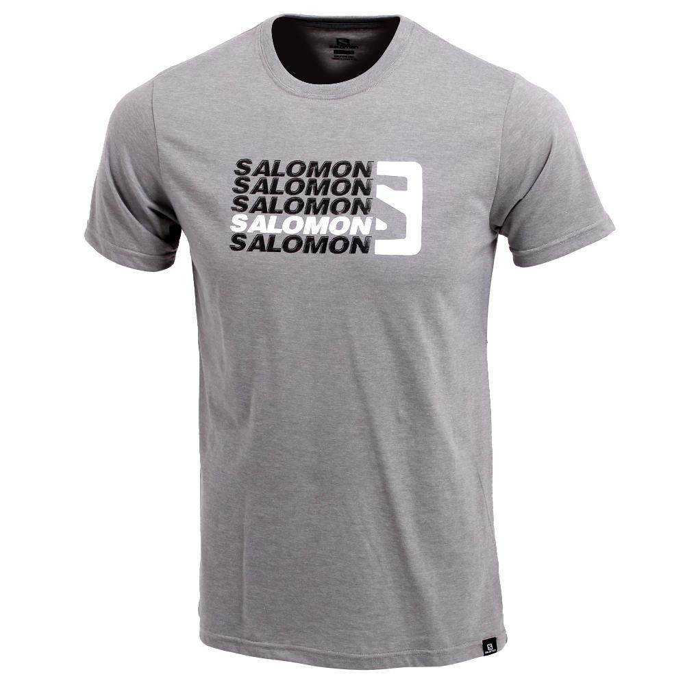 T-Shirty Męskie Salomon STANDOUT SS M - Szare - Polska (814-ZXJRBS)